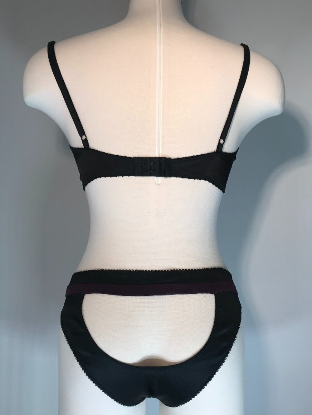 Vintage Kiki De Montparnasse Silk Welcome Home Panty (NWT)